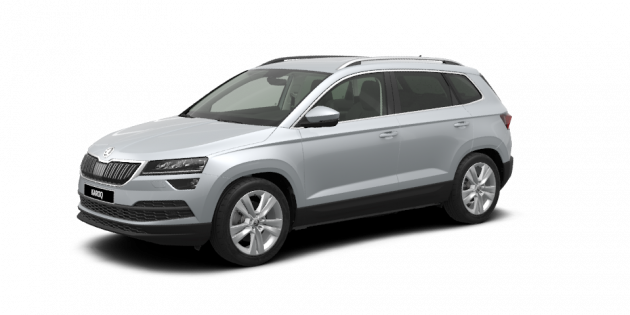 skoda-karoq-2017-lyizny